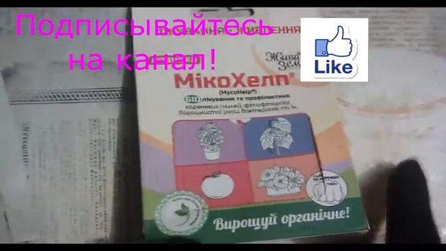 Микохелп! Новый биопрепарат для борьбы с корневыми гнилями и грибковыми заболеваниями растений!!! смотреть онлайн