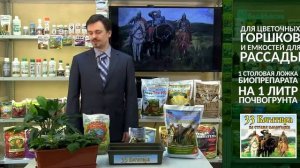 33 Богатыря - применение почвооздоравливающего биопрепарата