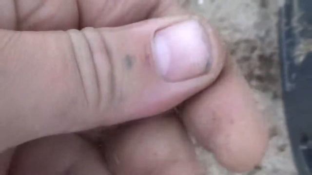 Пляжный поиск! И что из этого вышло! смотреть онлайн