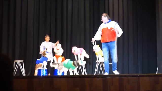 Балтийский цирк в Люберцах. смотреть онлайн