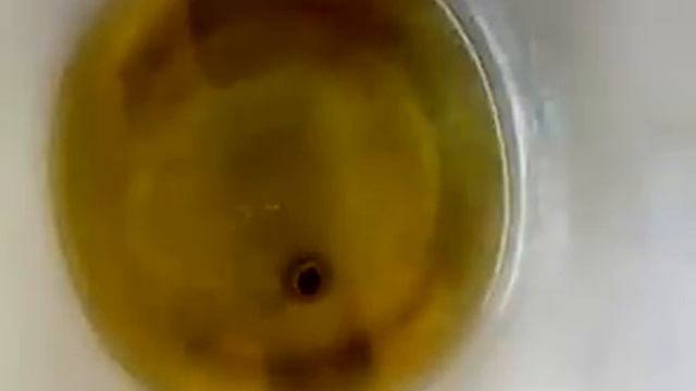 Бош Акватак 100 plus смотреть онлайн