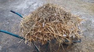 Почему Влажно в курятнике//Убрать сырость в курятнике