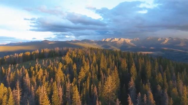 Жена намеренно унизила мужа А когда он ушел от нее Жизненная история любви