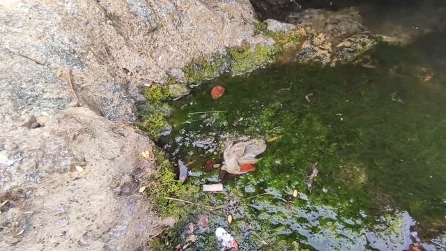 Куда сходить? Водопад на Карачунах и гранитный карьер в Кривом Роге. Водохранилище и высоченный мос смотреть онлайн