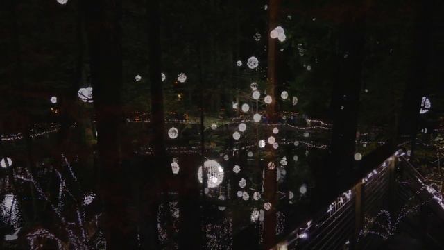 Capilano Suspension Bridge Lights смотреть онлайн