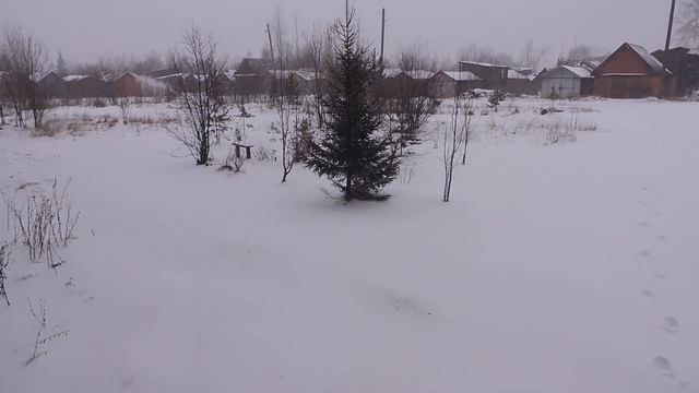 Вновь зима смотреть онлайн