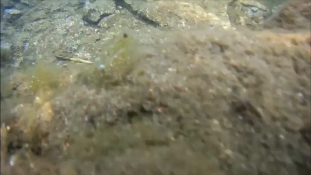 Отдых на озере Бараус. Ночёвка в палатках смотреть онлайн