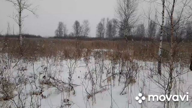 Зимний металлокоп. смотреть онлайн