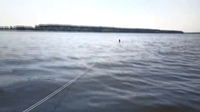 079 Трэш-контент: "Тест лошадиной обуви". // Trash content: "Horseshoe Test" смотреть онлайн