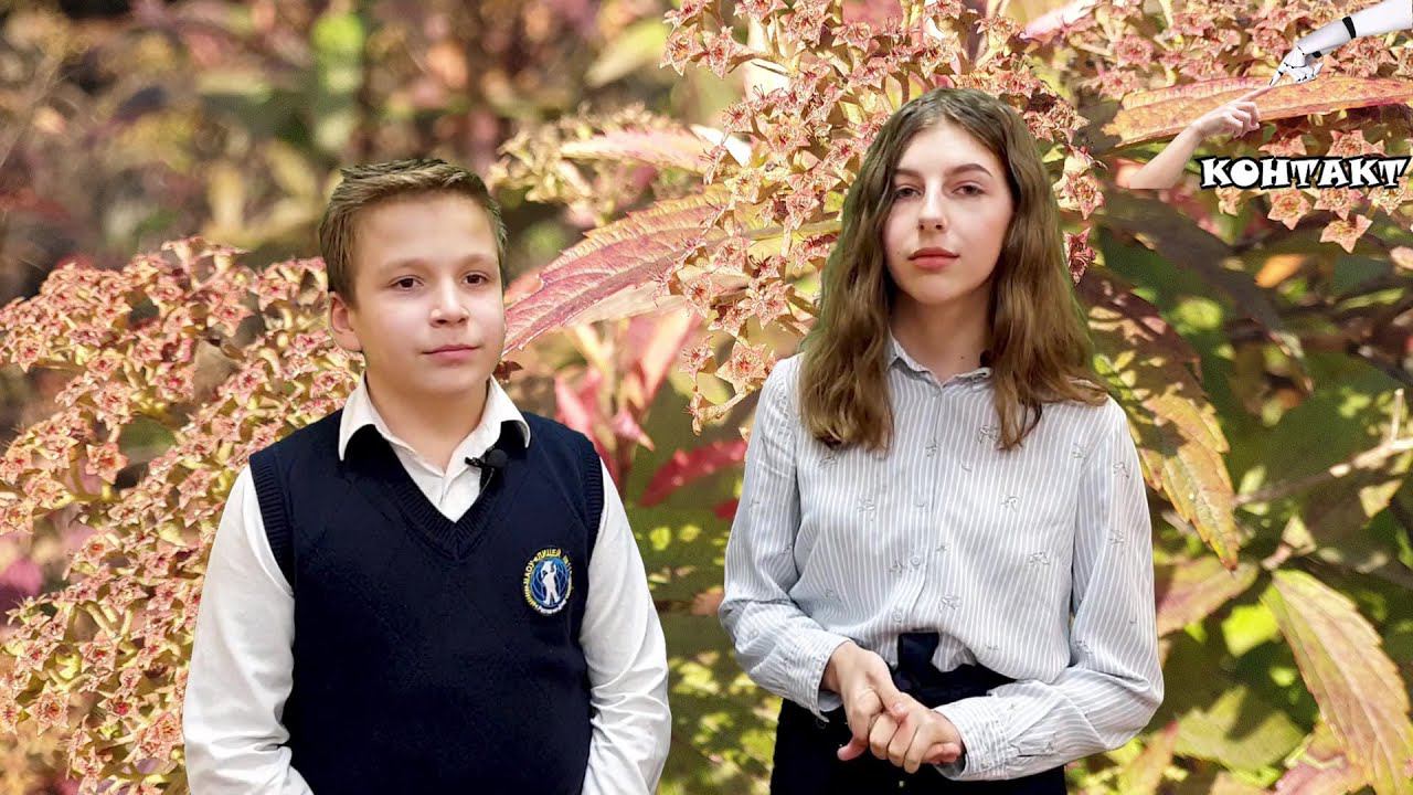 Новости. Ноябрь 2020 смотреть онлайн
