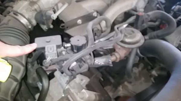 Ford Mustang emissions / Smog locations: EGR Valve + system, PCV, EVAP Canister