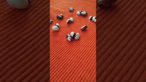 как говорят бобы.что могут показать