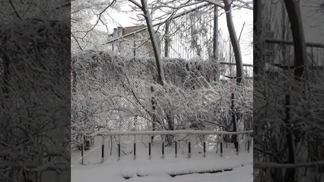 Татьянин день ( Таганрог в снегу). смотреть онлайн