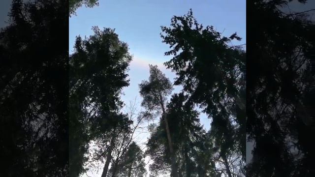 Такое нашаманили, воздействуя на пространство на месте силы! Полный Восторг! смотреть онлайн