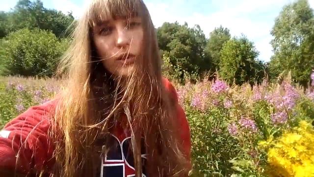 ? Собираю травы (Иван-чай, зверобой, мелисса). смотреть онлайн