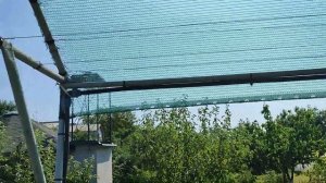 сравнение напора воды из ёмкостей на разной высоте и водопровода