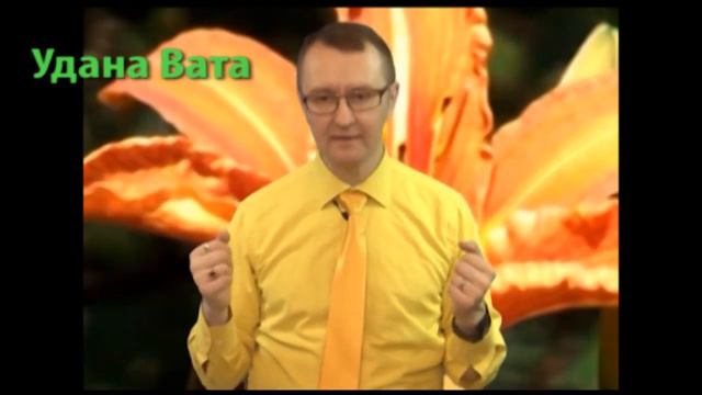 Аюрведа - травы для 5 видов ваты - Роберт Грислис смотреть онлайн