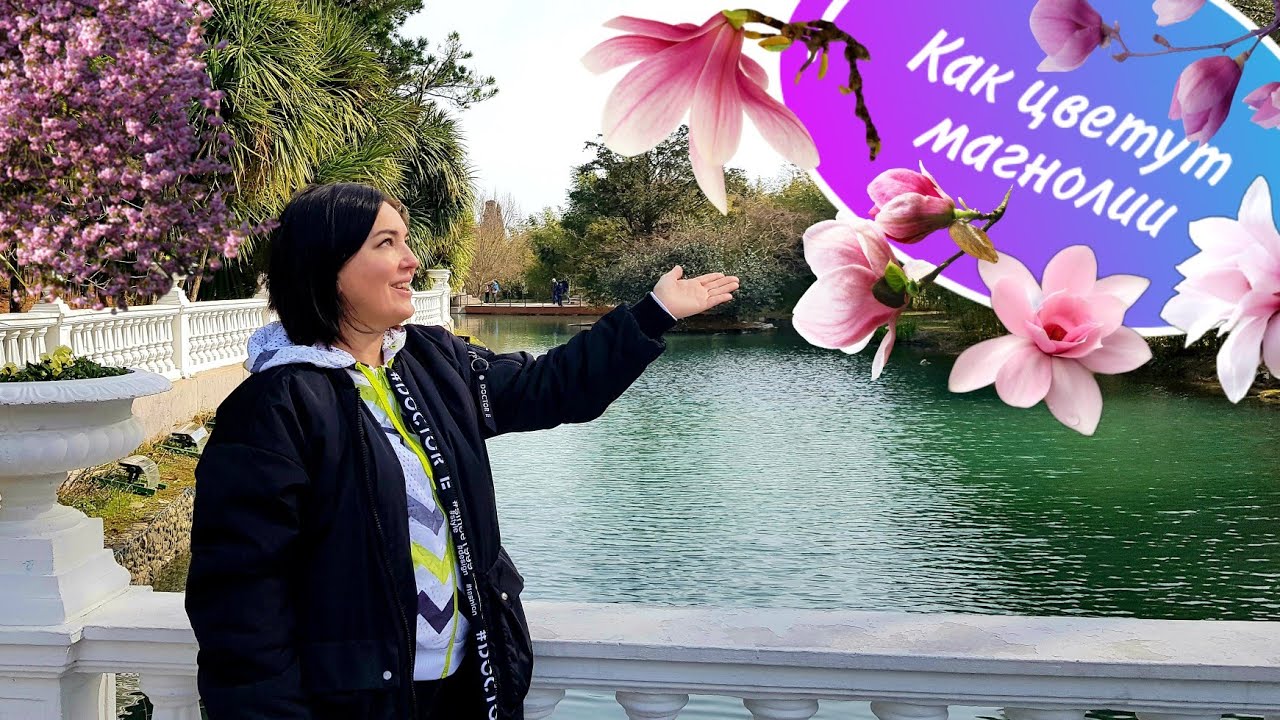 Куда сходить в Сочи? Парк Южные культуры смотреть онлайн