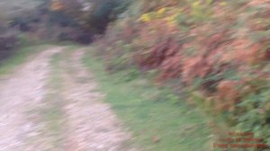 Абхазия Село Н.Эшера Гора Верещагина