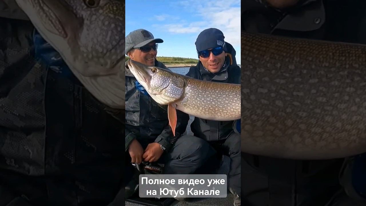 Поймали МОНСТРА на удочку! Не ТРОФЕЙНАЯ ловля ЩУКИ! #снастиздрасьте #porolka #motalka #dralka смотреть онлайн