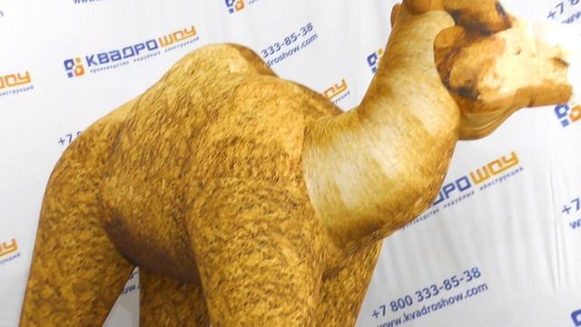 Большой Надувной одногорбовый верблюд | Реалистичные аэрофигуры животных | Купить верблюда смотреть онлайн