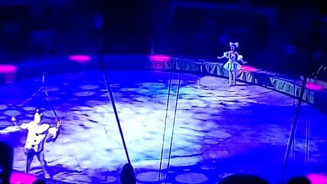 Цирк Самара 1.07.2018 часть 3 смотреть онлайн