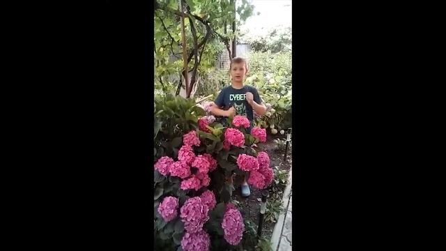 Поздравление для любимой учительницы смотреть онлайн