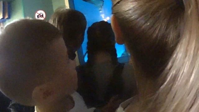 Москвариум ВДНХ Магазин игрушек Рыбки "В поисках Немо" смотреть онлайн