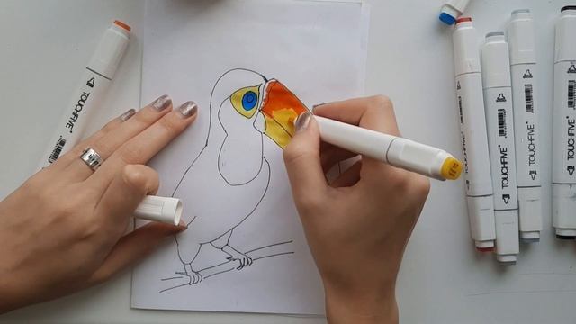 Как нарисовать тукана? Лёгкий способ нарисовать птицу. #тукан смотреть онлайн