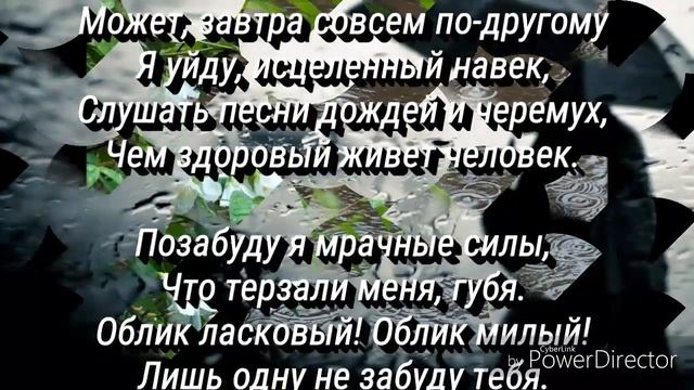 Вечер черные брови насопил - С. Есенин (проект Dim Chi). смотреть онлайн