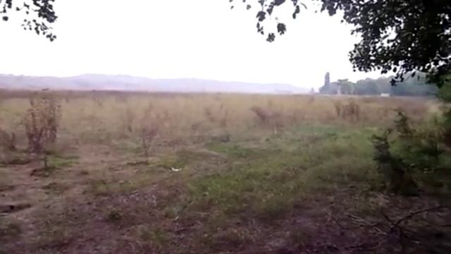 Дождливый субботний коп/Rainy Saturday hunting for treasures смотреть онлайн