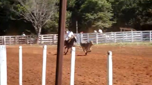 Marco Tulio Magalhães Rosito laçando смотреть онлайн