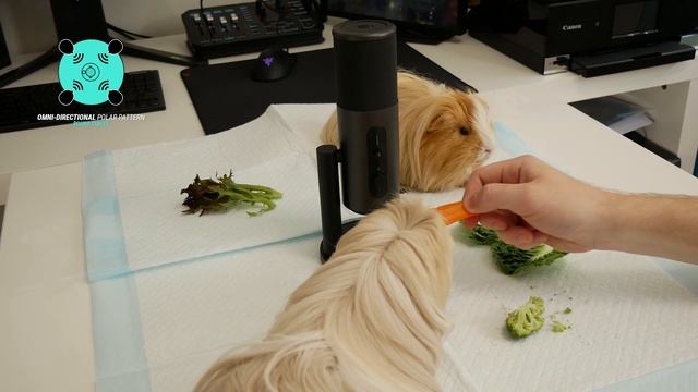 EPOS B20 USB Microphone Review смотреть онлайн