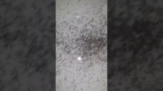 Мальку пять дней смотреть онлайн