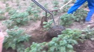 Самодельный дисковый, ручной окучник для картошки.