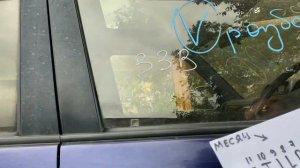 Дата выпуска по стёклам!