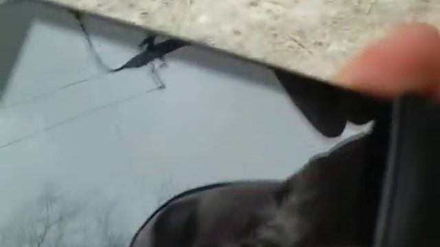 Ломаю мобилу Кувая смотреть онлайн