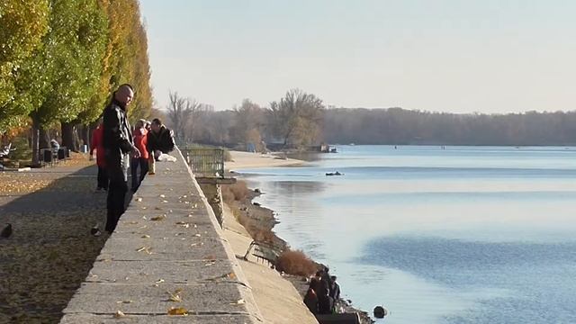НА Дамбе осень Днепр Живая картина Кременчуга смотреть онлайн