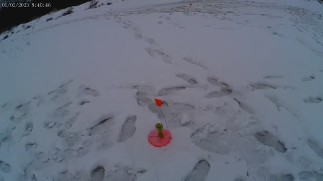 Эксперименты в глухозимье (2)! Рыбалка 1.02.2023г.