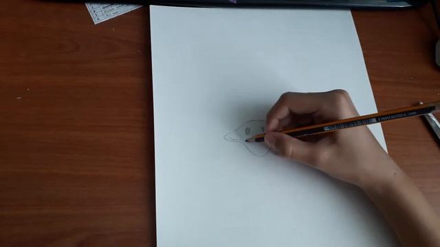 Как нарисовать страуса (1часть) смотреть онлайн
