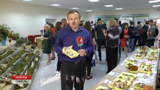 Выставка грибов 2018 смотреть онлайн