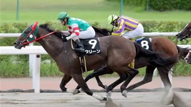 中央競馬　ファンファーレ集　(2010～)【ウマ娘内実装】 смотреть онлайн