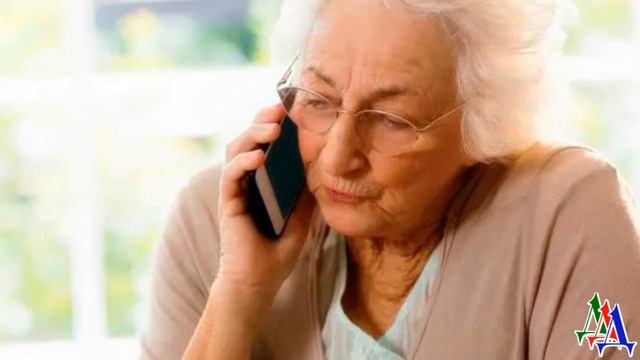 ЖИВУЩИЕ в НОЧИ 17. «Эту собаку мне привезли сегодня из Донецка, нужно срочно собирать деньги!»