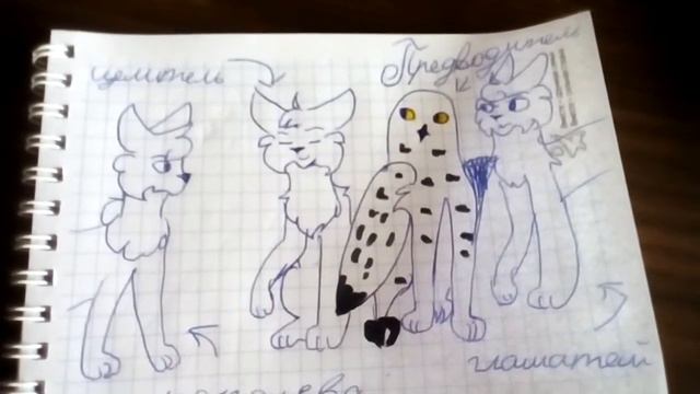 Кто в племя?(27 котов и кошек)(ОПИСАНИЕ!!) смотреть онлайн