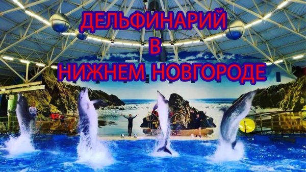 Дельфинарий в Нижнем Новгороде / TravelVK