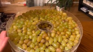 Сушка винограда в электросушилке, натуральным способом