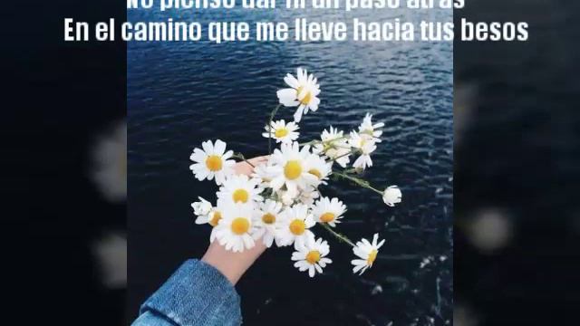 La Correcta- Nabález, Morat(LETRA) смотреть онлайн