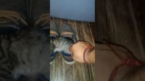 А что, очень даже уютненько ?