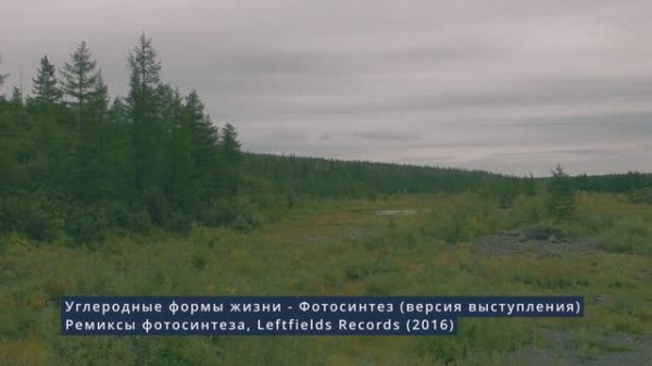 Фотосинтез [Carbon Based Lifeforms - Photosynthesis (live version)]