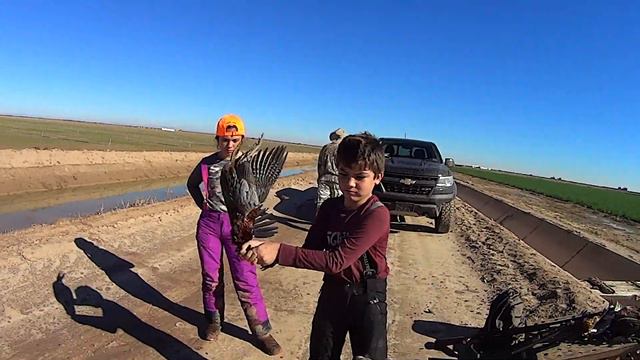 После охоты. Фазаны смотреть онлайн